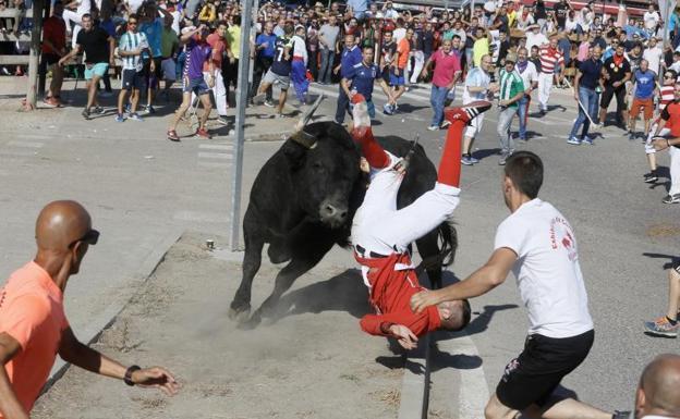 Dos heridos en el Toro de la Vega en Tordesillas