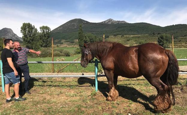 Puebla de Lillo une lo mejor de la ganadería de la montaña