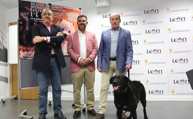 La Exposición Internacional Canina cita a 580 perros de 120 razas en el Palacio de Exposiciones de León