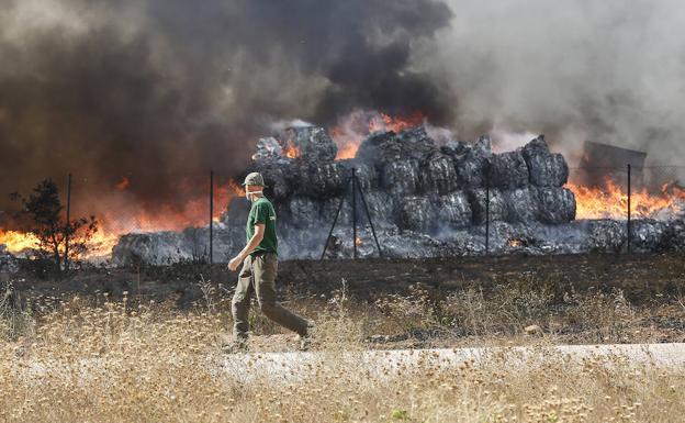 León Verde trata de reponerse del incendio: «Hay que limpiar esto y ponernos a trabajar cuanto antes»
