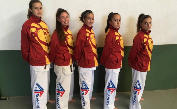 El Club Saya, con cinco representantes en el Open Internacional de Riveira