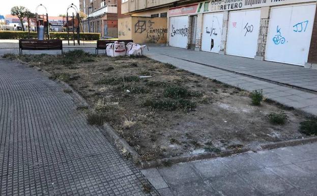 El PSOE denuncia la falta de mantenimiento en Armunia y el residencial los Juncales