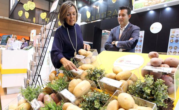 El sector hortofrutícola de la Comunidad facturó 500 millones en 2017 y exportó por 85