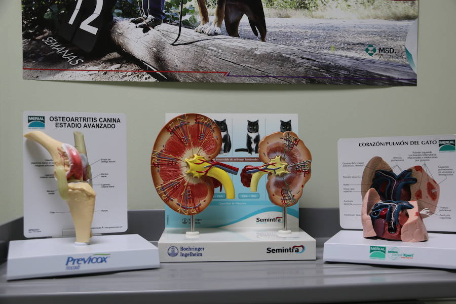 Agrovet inaugura su nuevo Hospital Clínico Veterinario