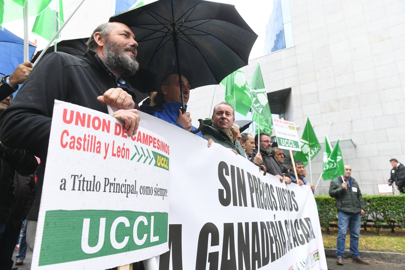 Protesta de ganaderos de ovino de leche en Valladolid