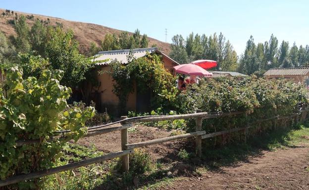 Entra en vigor la nueva ordenanza reguladora de los huertos municipales del Ayuntamiento de León