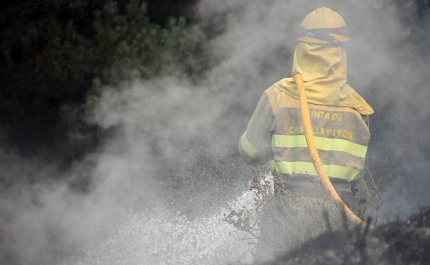 ¿Qué hacen los agentes forestales cuando hay un incendio?