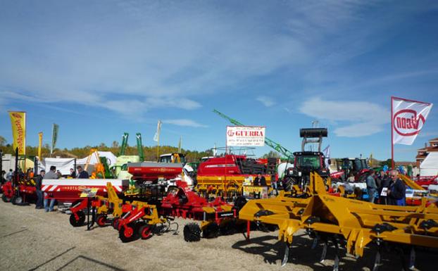La Feria de San Martín vuelve a Mansilla de las Mulas