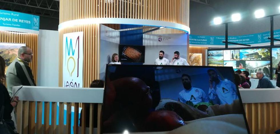 Astorga apuesta por el atractivo micológico como tarjeta de presentación en Intur