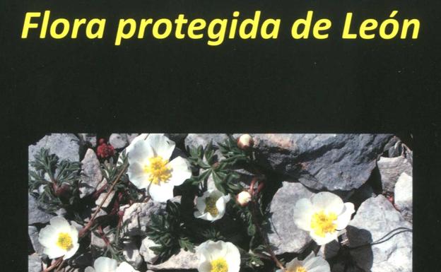 El área de publicaciones de la ULE apadrina una obra sobre la flora protegida de León