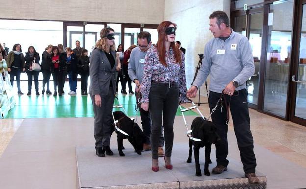 La ONCE celebra su 80 aniversario con una exhibición de perros guía en las Cortes de Castilla y León