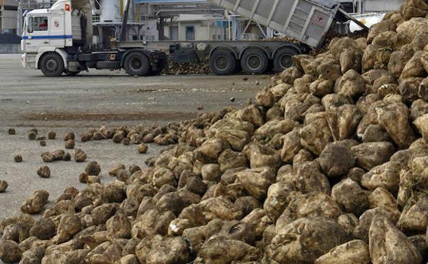 El año agrícola cierra con malas noticias un 2018 en el que se ha recuperado la producción perdida