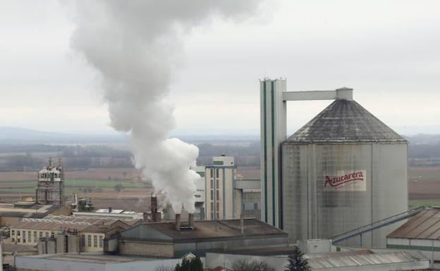 Azucarera abonará 42 euros por tonelada de remolacha si el precio del azúcar alcanza los 560 euros