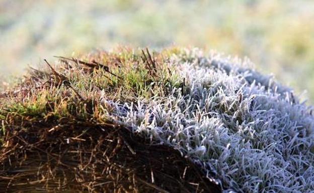 Villablino se 'congela' y alcanza los -3,7 grados durante esta madrugada