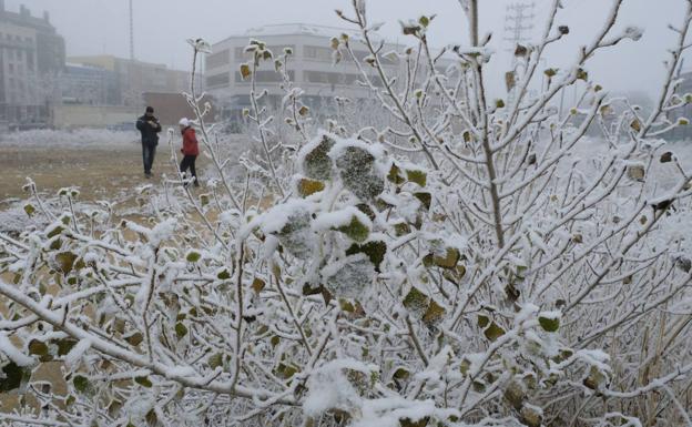 Puerto el Pico, -6,9º; Cuéllar, -6,4º; Aranda de Duero, -5,9º... Castilla y León recibe el año helada