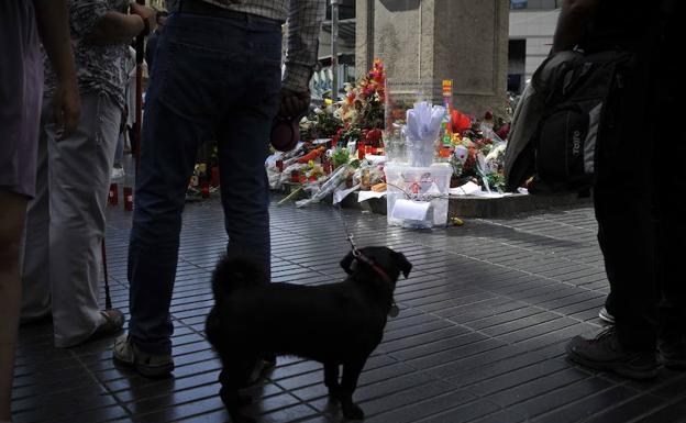 La Guardia Civil apunta a que la célula de Barcelona planeó un atentado con excavadora