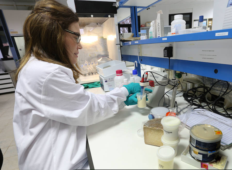 Planta piloto del centro tecnológico donde se realizan procesos para mejorar los productos lácteos