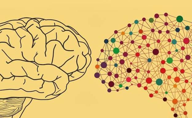 La Universidad de León convoca los Premios del Consejo Social a la Innovación en la Enseñanza