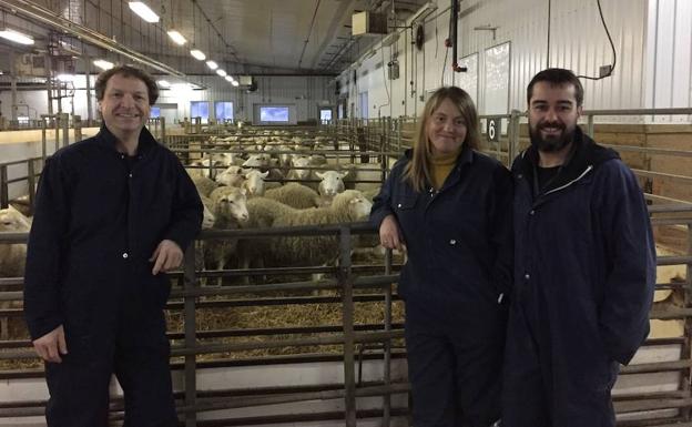 León y Canadá trabajan juntos para aumentar el valor añadido de la leche de oveja