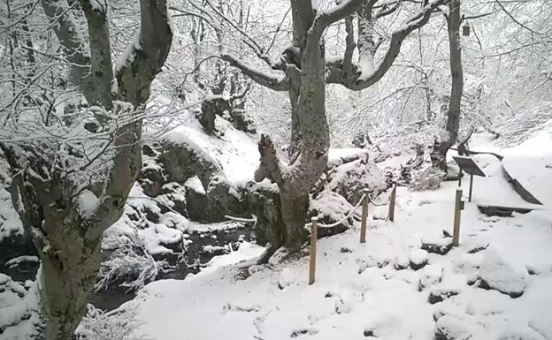 El Faedo cambia su habitual verde y naranja por el blanco invernal