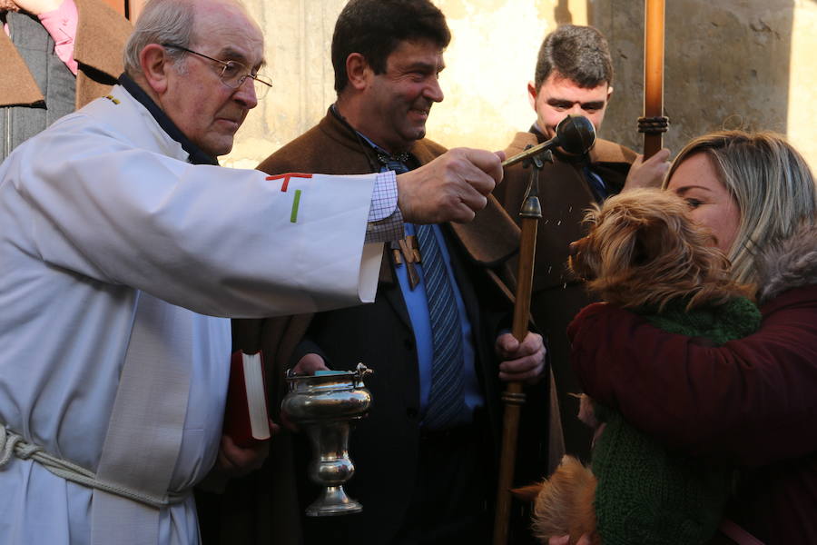 Tradicional bendición de los animales por San Antón