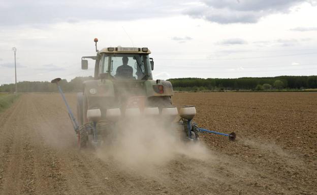 León se sitúa a la cabeza de España en explotaciones agrarias de titularidad compartida