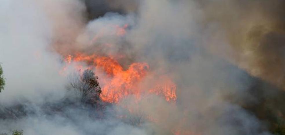 León aglutina un año más el 52% de la superficie calcinada a lo largo de 2018 en la Comunidad
