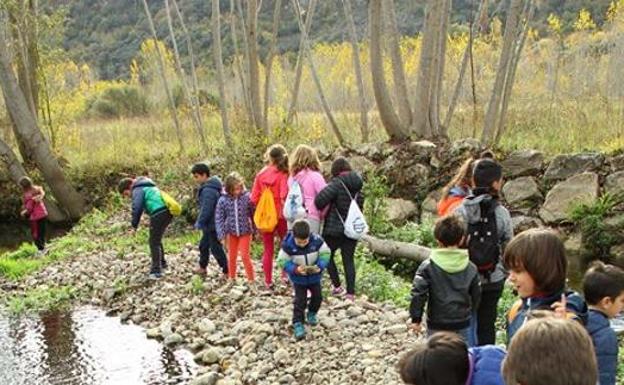 Escolares de 100 centros participarán en actividades de educación ambiental de la CHD