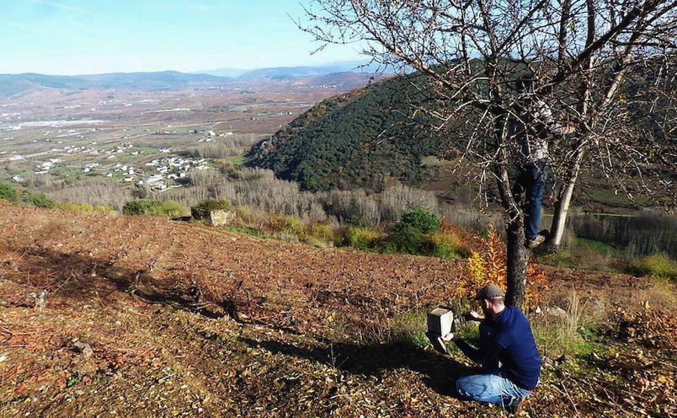 Conocimiento para impulsar el tejido rural