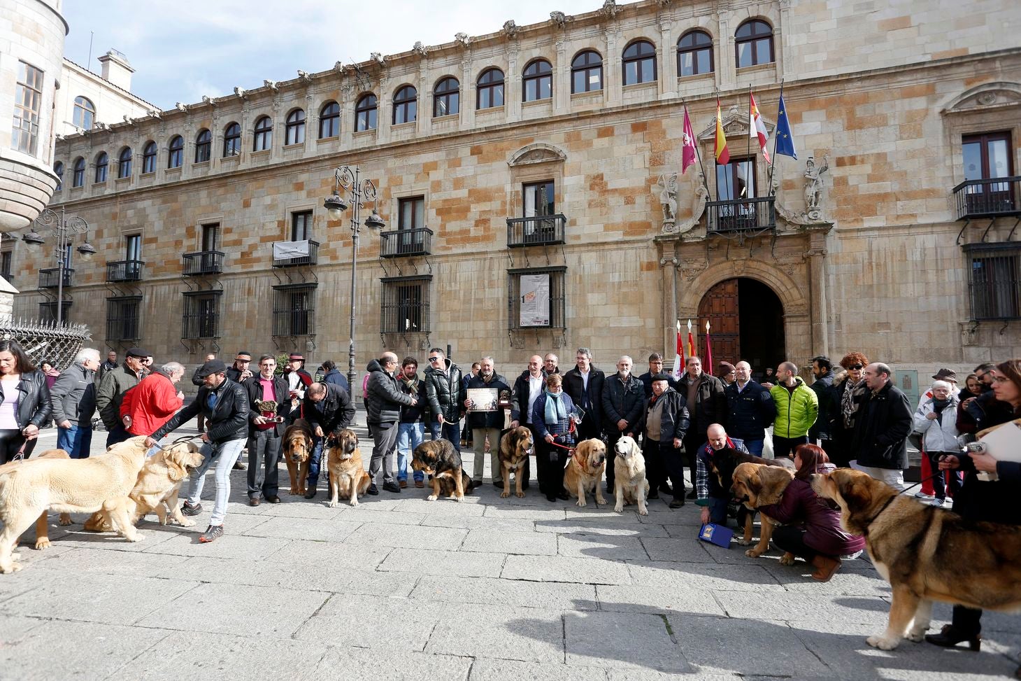 Los mastines de León