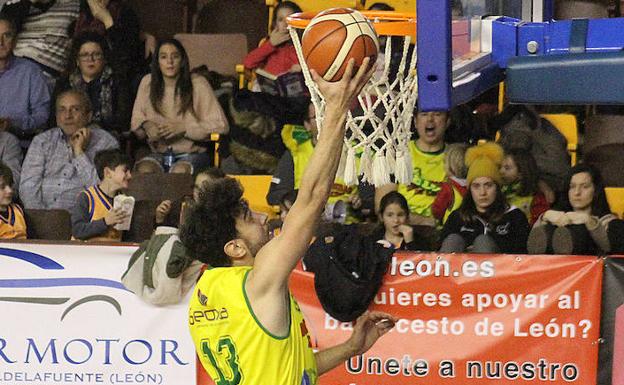 Basket León y Reino de León, en busca de victorias vitales