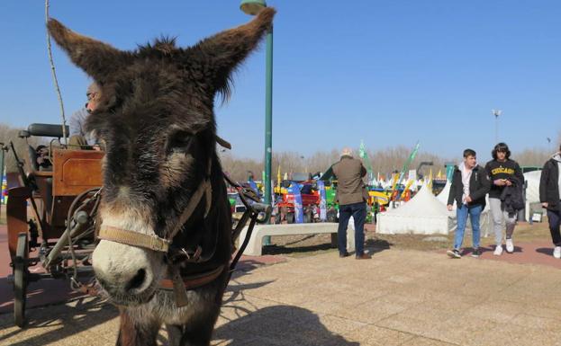 La Feria de Valencia de Don Juan potencia el sector agrícola «como un fondo de armario económico para León y España»