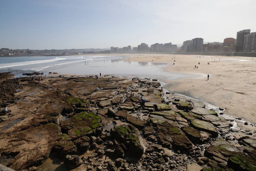 La primavera llega a Gijón