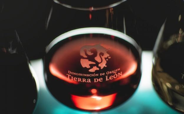 Siete bodegas representarán a la DO León en el II Salón de los Grandes Vinos de Castilla y León