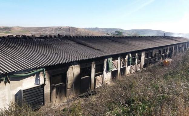 Un hombre muere al incendiarse una granja de pollos en Toledo