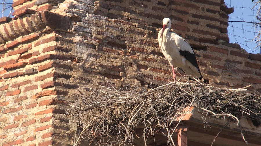 Las ilustres vecinas de Valverde de la Virgen