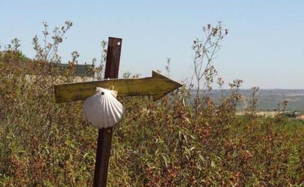 El Camino de Santiago tendrá un portal web oficial y se desarrollará un diagnóstico físico del trazado