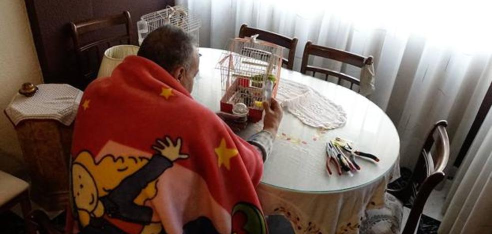 Las familias con ayuda de Cruz Roja por pobreza energética caen un 20% en 2018 pero se manteniene la cuantía