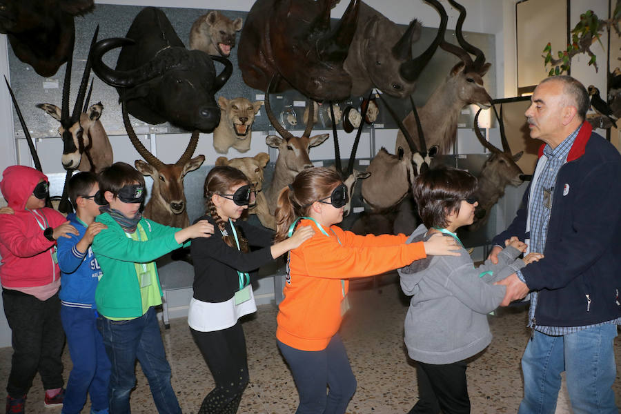 El Carnaval de la Biodiversidad de la ULE