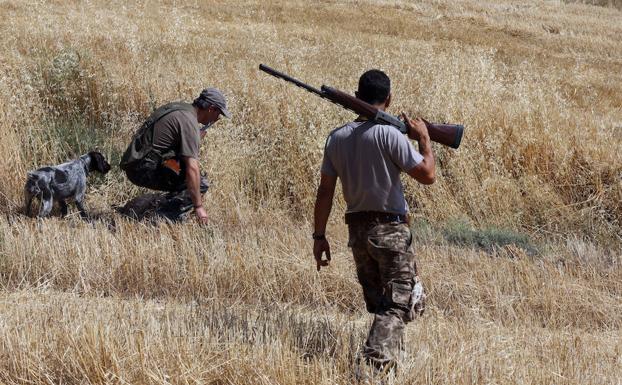 El TSJ se reafirma y paraliza también la Orden de Caza en Castilla y León