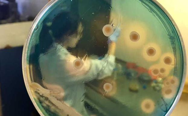 Sergio Salaza gana el premio de fotografía 'Mujer y Ciencia' de la ULE