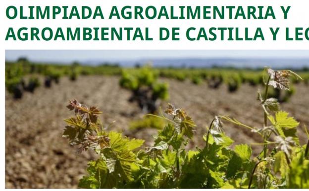 León y Ponferrada acogen la fase local de la V Olimpiada Agroalimentaria