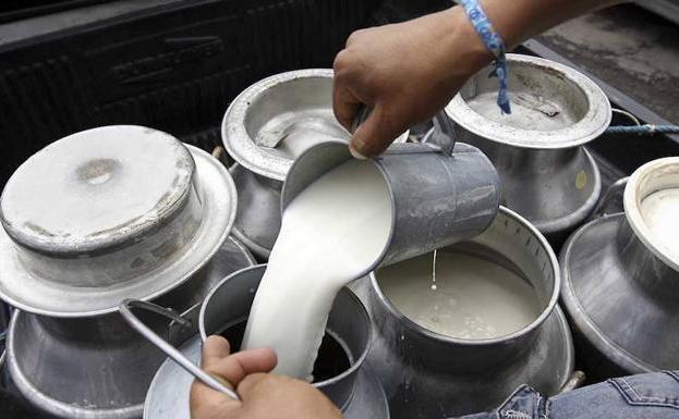 Asaja denuncia que los ganaderos de vacuno de leche de León han perdido 8,6 millones de euros en un año