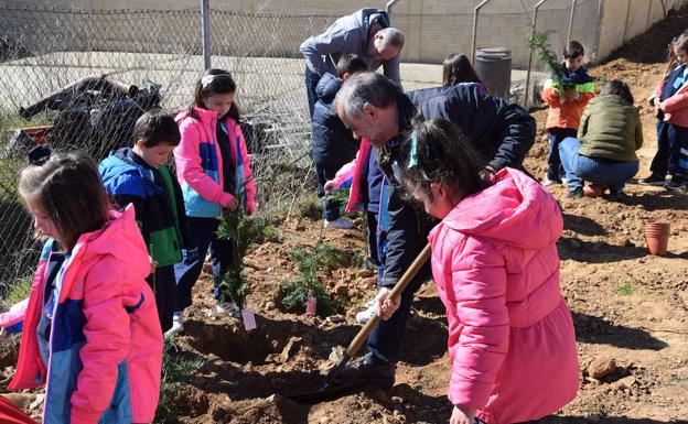 Los alumnos de tres colegios de La Bañeza celebran el Día del Árbol