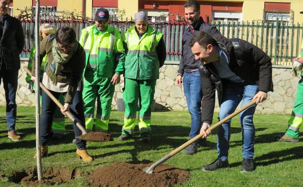 El PSOE de Castilla y León modificará la Ley de Montes y reconocerá a los bomberos forestales