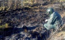 La Guardia Civil investiga a una persona por el incendio forestal en los montes de Sigüeya (Benuza)