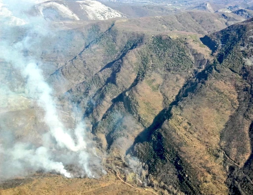 Incendio forestal en Valdepiélago