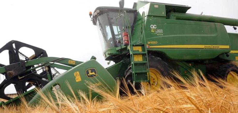 La falta de lluvias perjudica a la siembra de cereal, que cae en 13.000 hectáreas en León