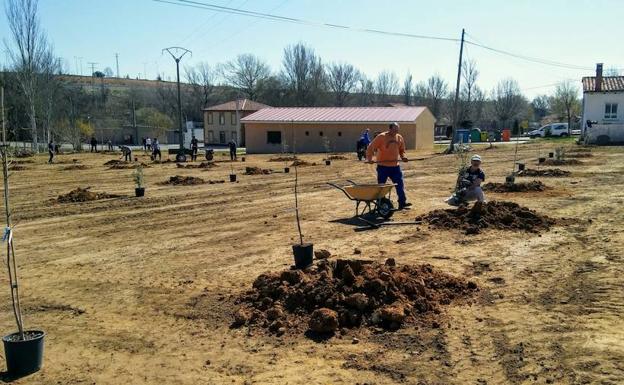 Los vecinos de Fresno del Camino celebran el día del Árbol con la plantación de más de 40 nuevas plantas