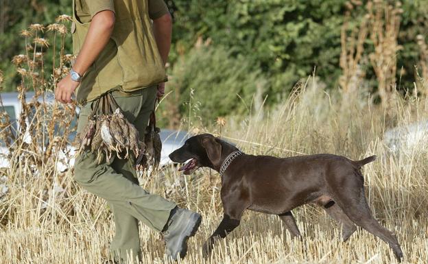 El lunes comienza la temporada de caza en Castilla y León